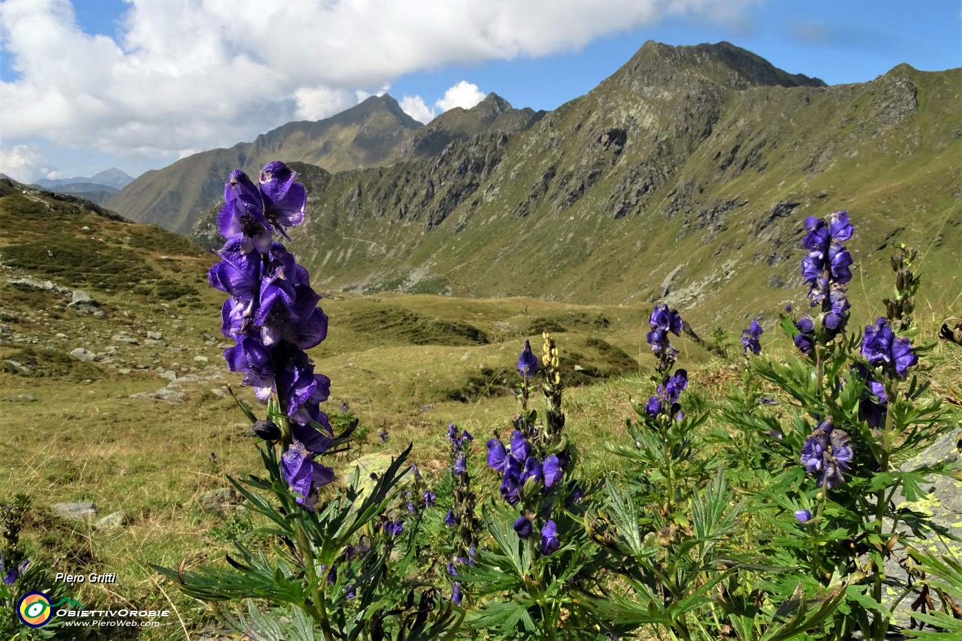 52 Sguardo indietro verso Piedevalle.JPG -                                